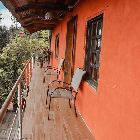 San Jose Del Pacifico- Cabanas Camino Al Cielo 2 Ngoại thất bức ảnh