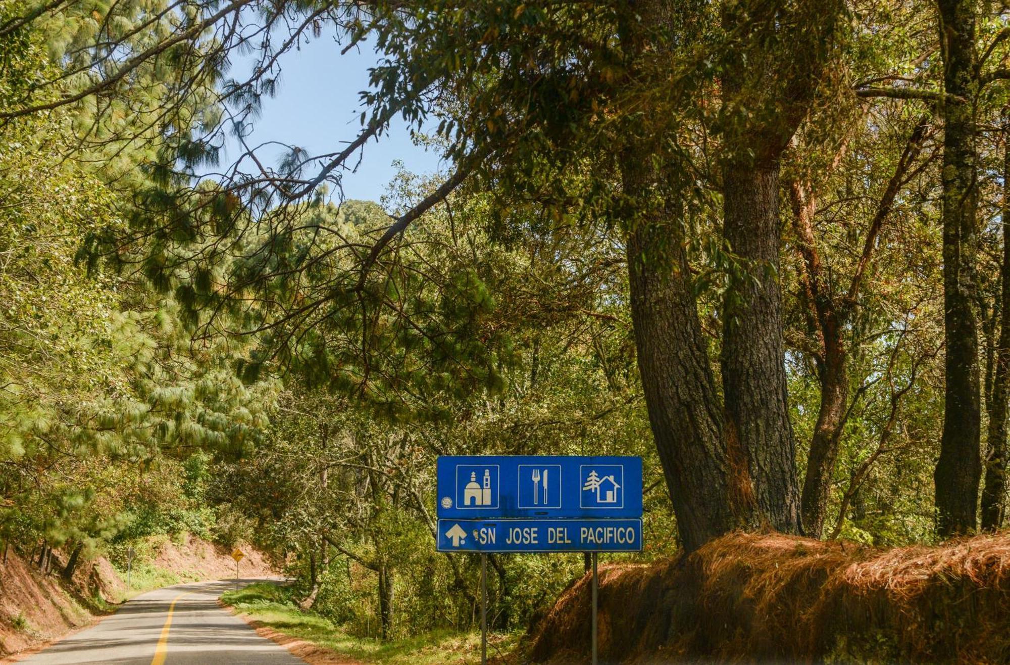San Jose Del Pacifico- Cabanas Camino Al Cielo 2 Ngoại thất bức ảnh