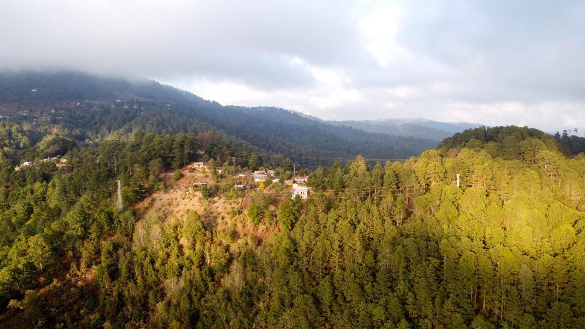 San Jose Del Pacifico- Cabanas Camino Al Cielo 2 Ngoại thất bức ảnh