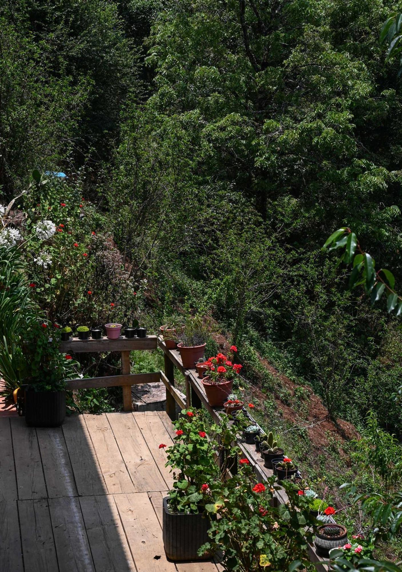 San Jose Del Pacifico- Cabanas Camino Al Cielo 2 Ngoại thất bức ảnh