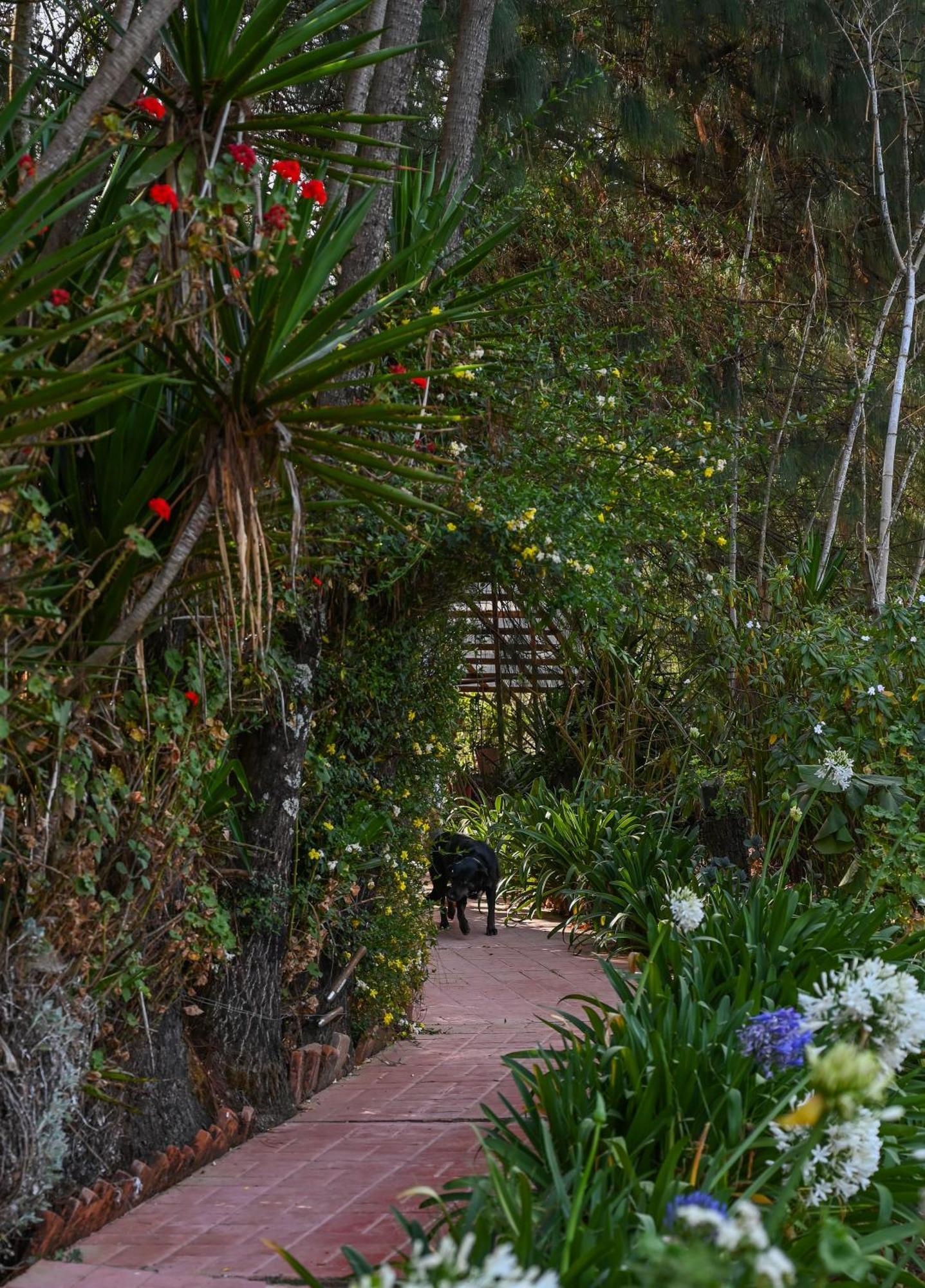 San Jose Del Pacifico- Cabanas Camino Al Cielo 2 Ngoại thất bức ảnh