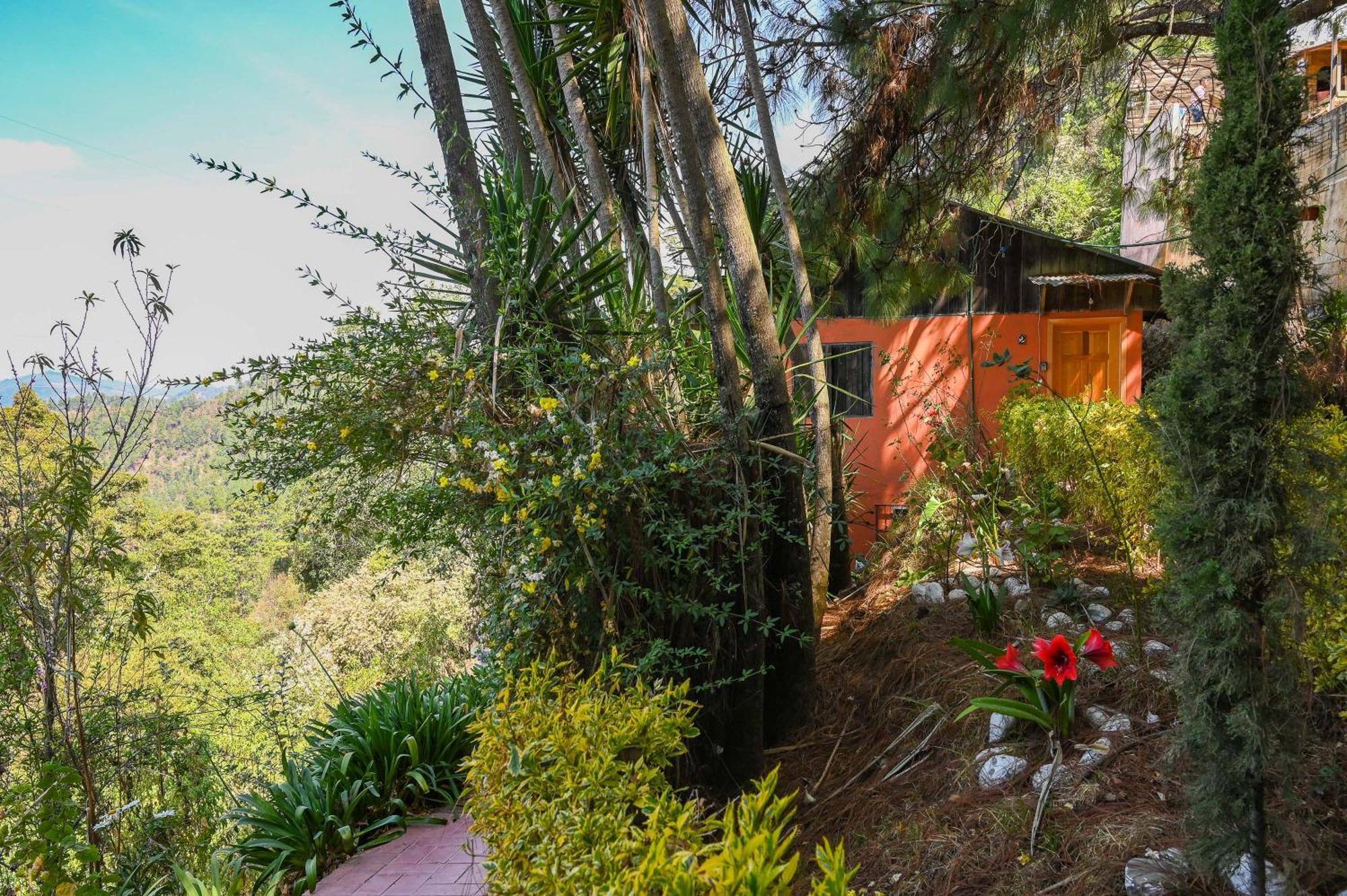 San Jose Del Pacifico- Cabanas Camino Al Cielo 2 Ngoại thất bức ảnh